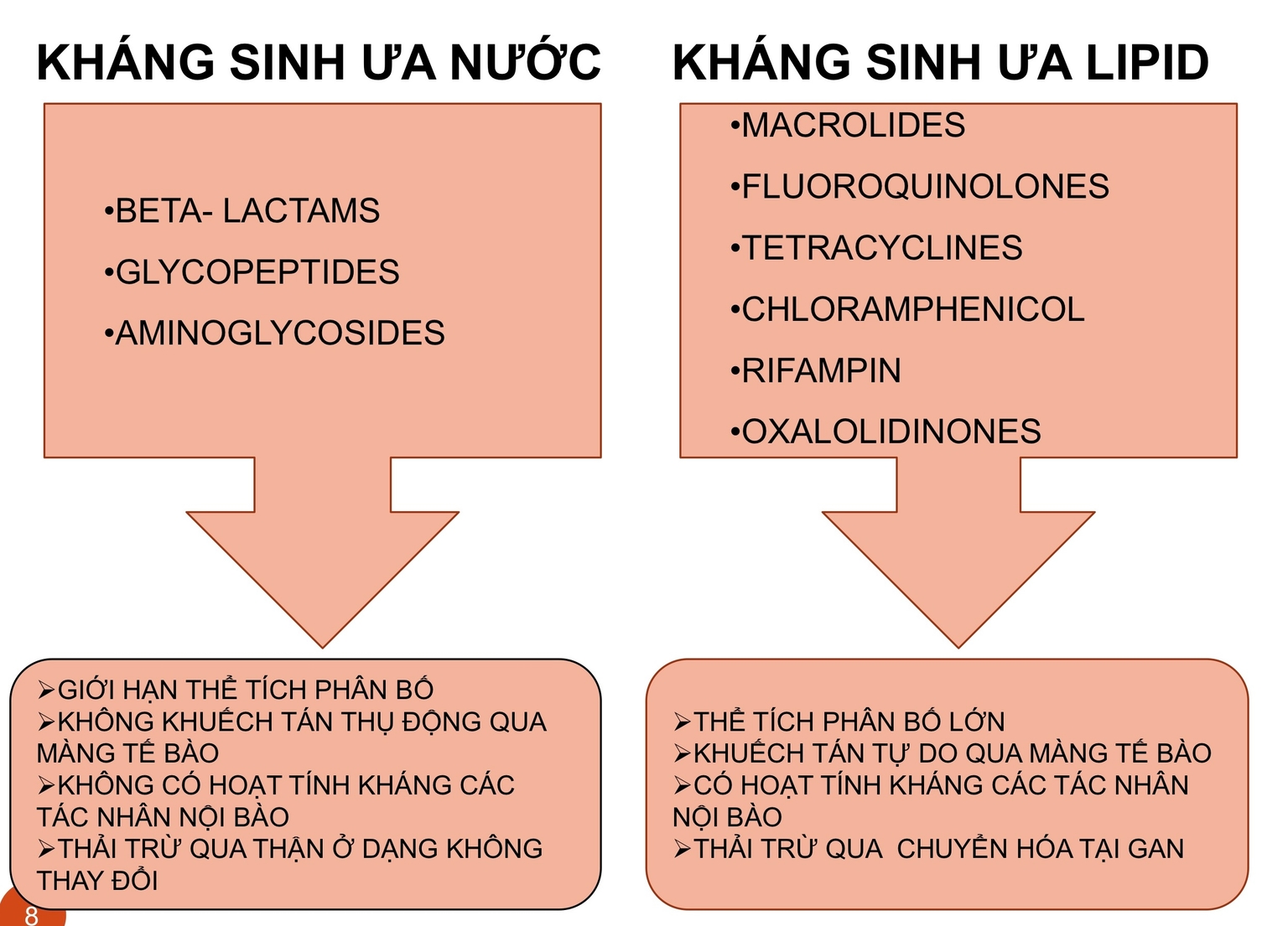 KS ưa nước và KS ưa lipid
