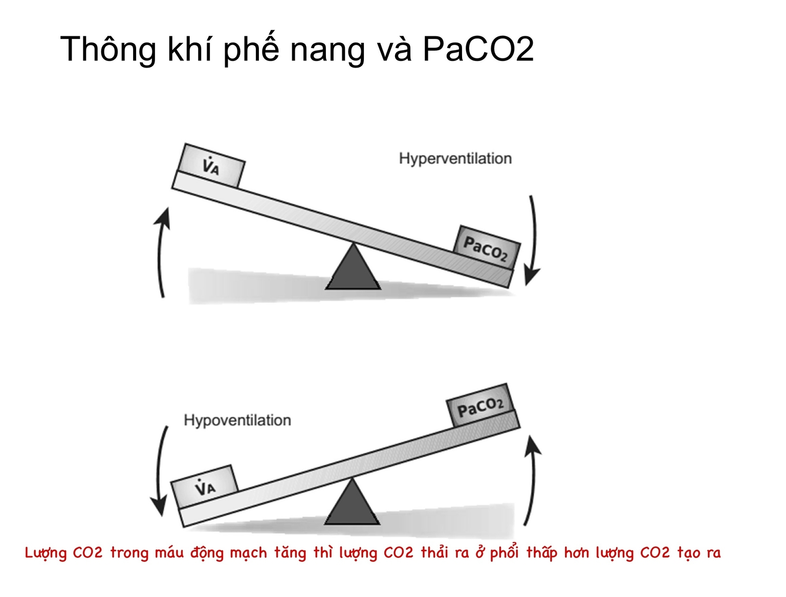 Liên hệ giữa TKPN và PaCO2