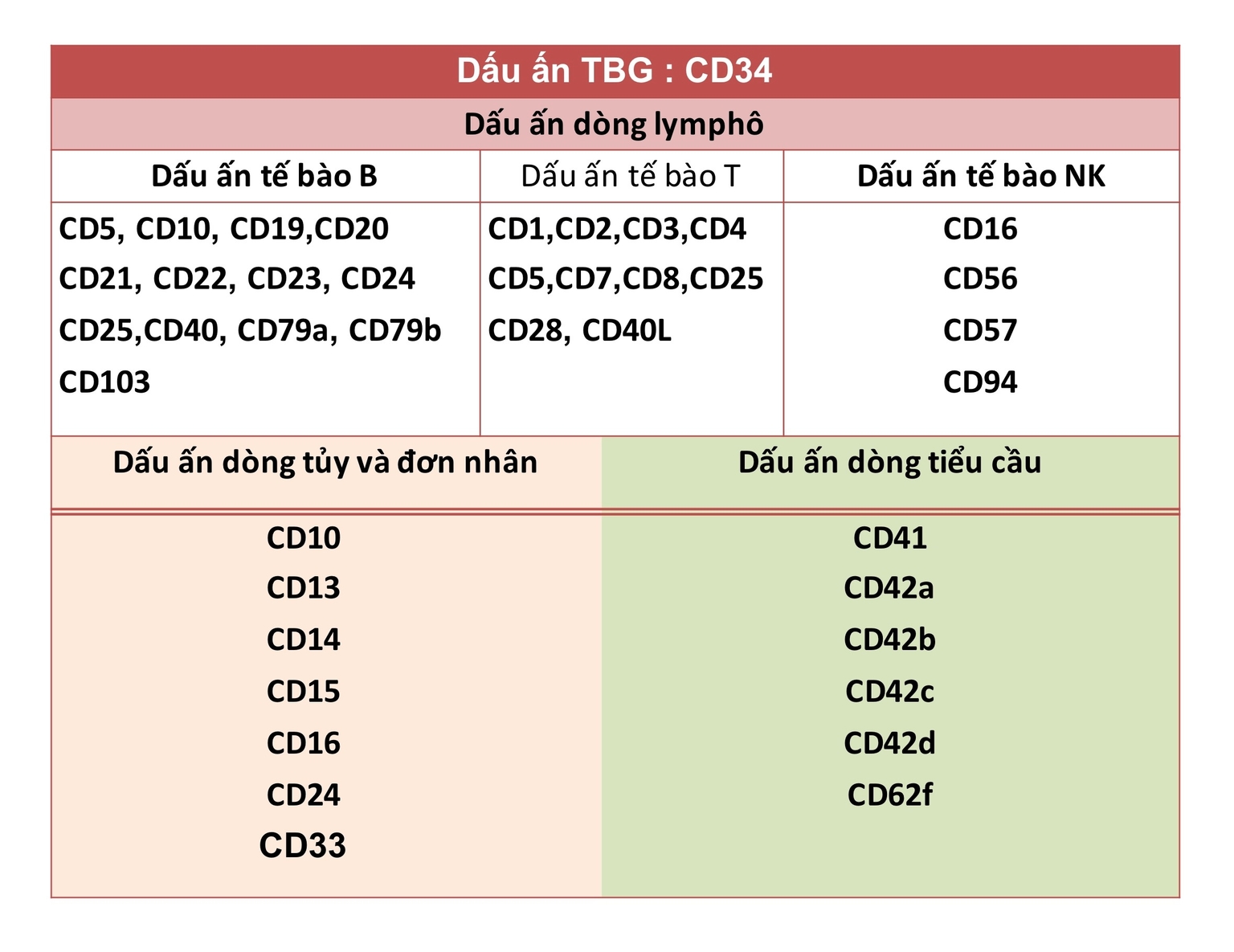 Dấu ấn TBG