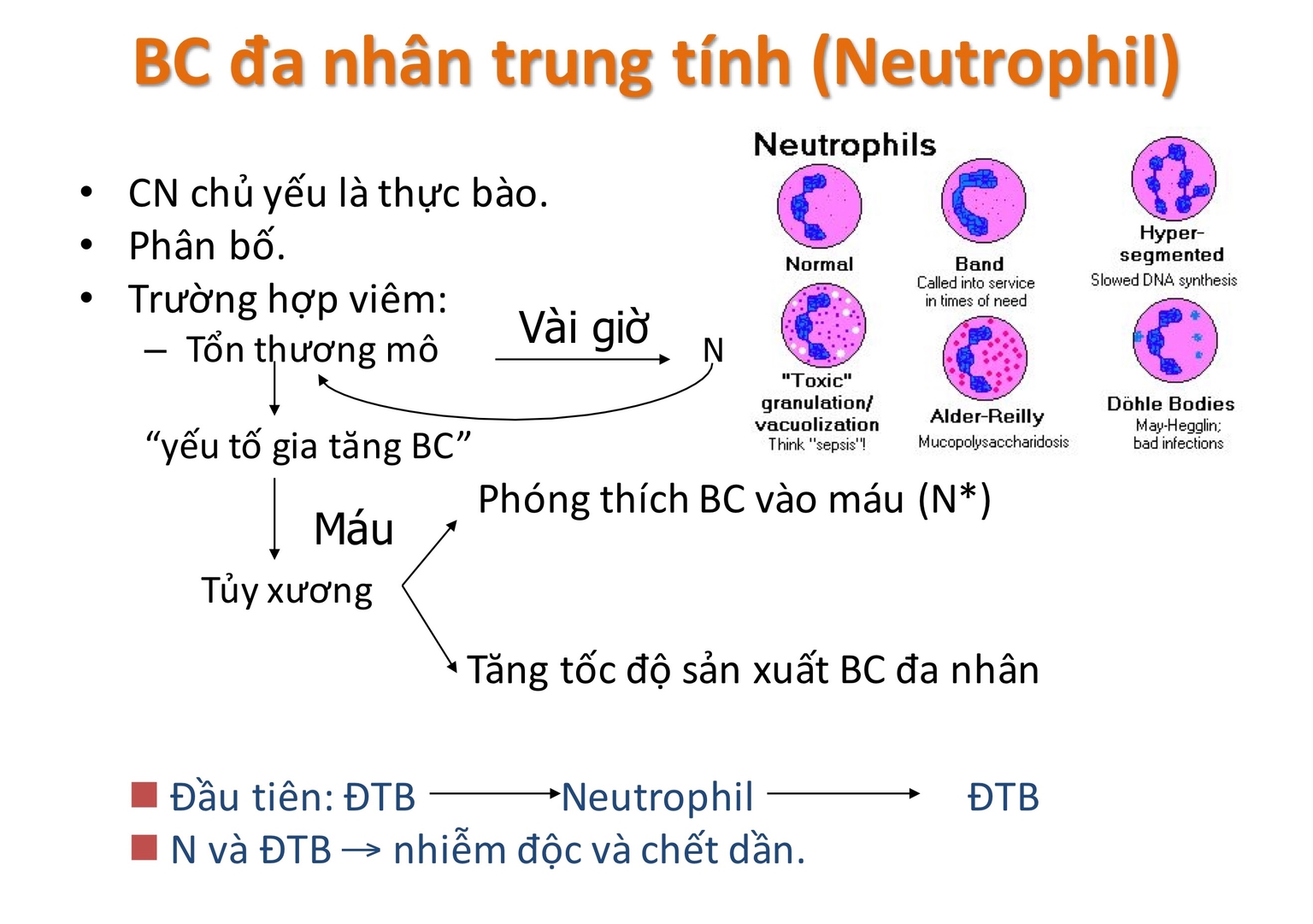 Tóm tắt về BCTT