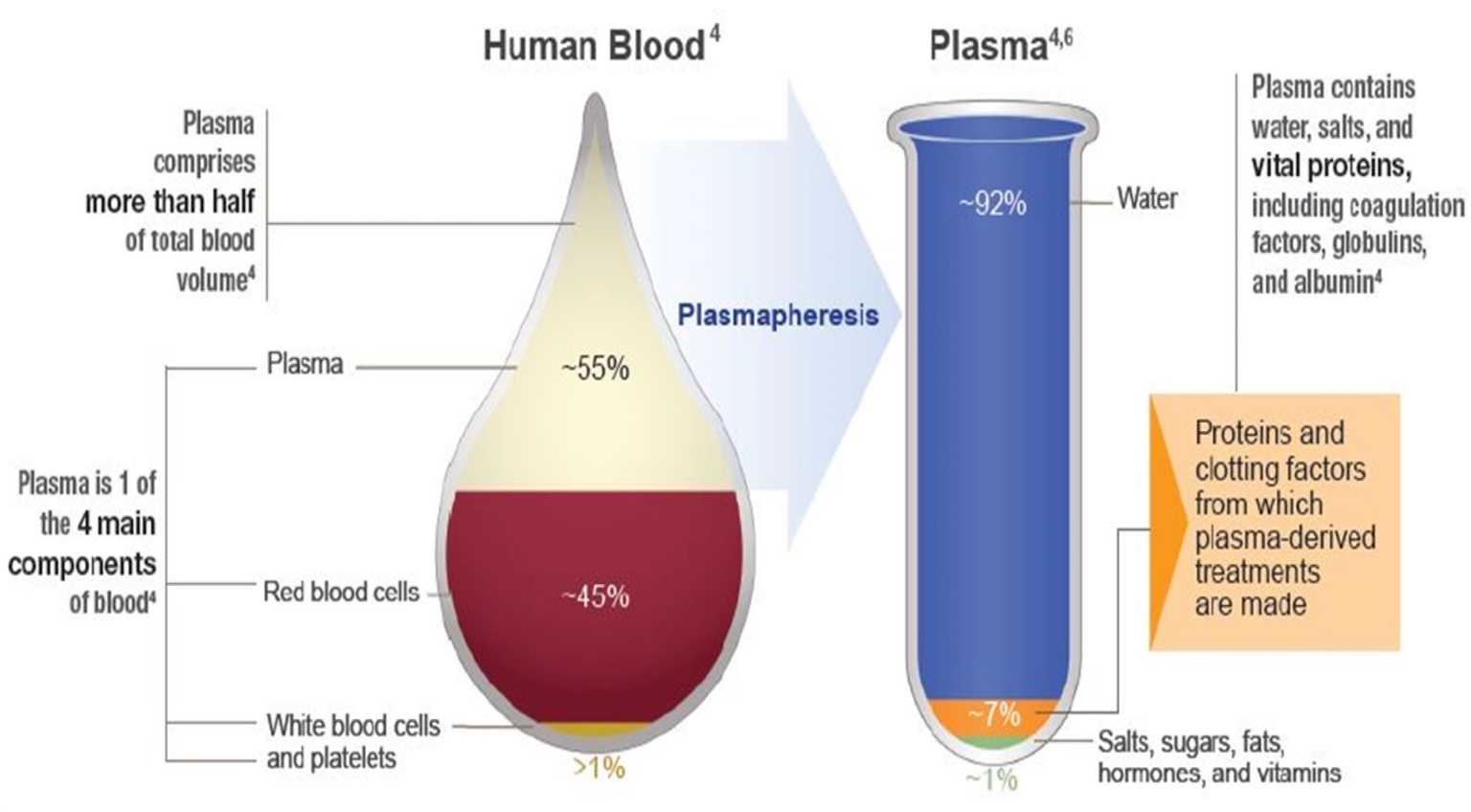 Các thành phần chính của huyết tương