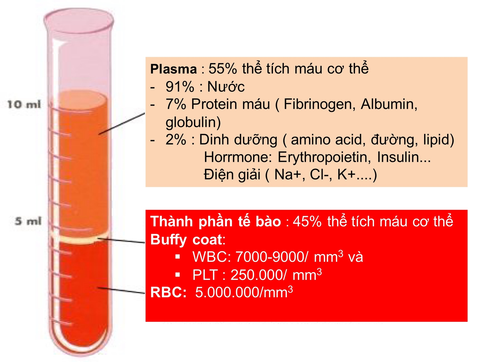Thành phần của máu