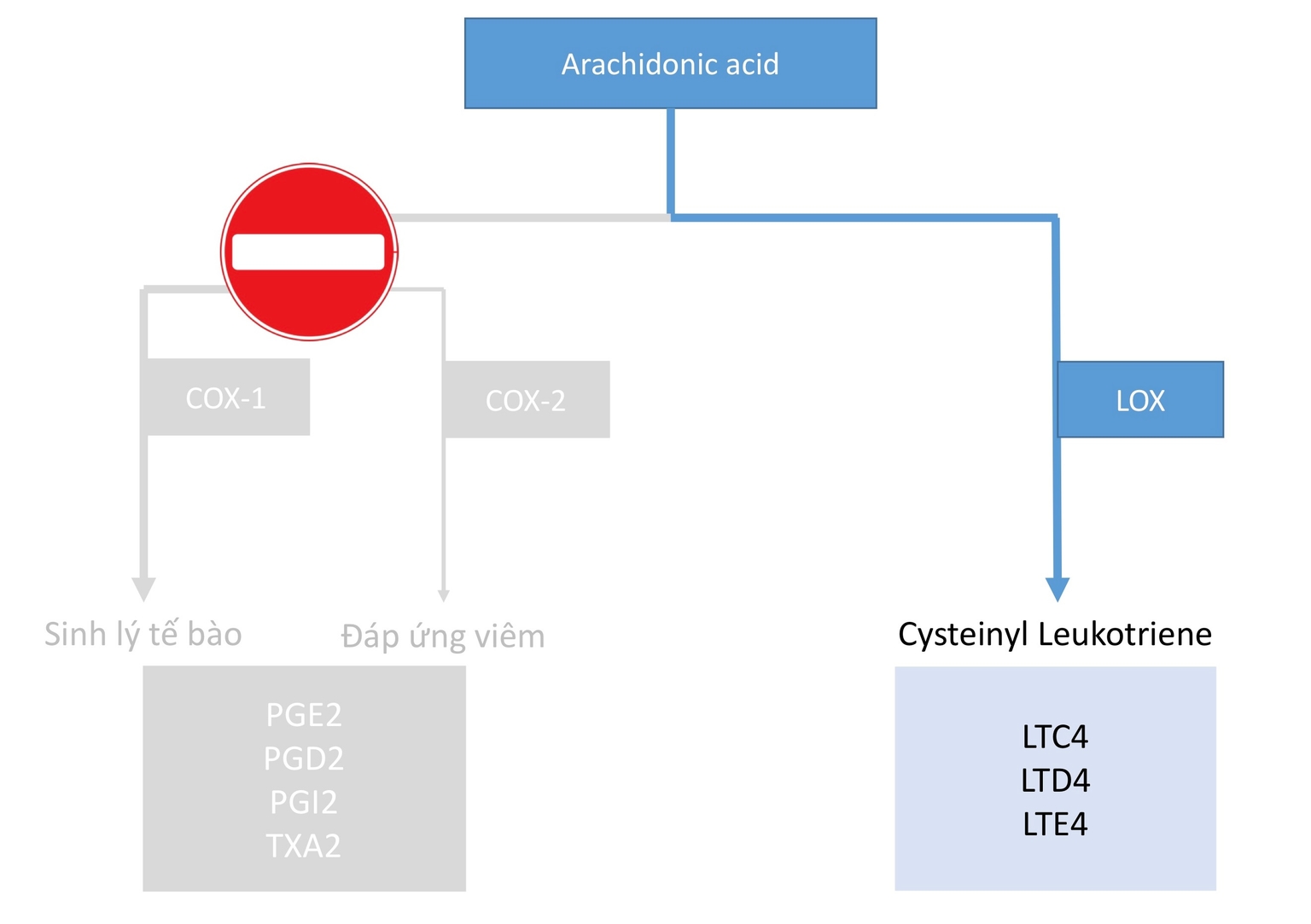 Các thuốc ức chế không chọn lọc cả COX-1 và COX-2, làm phát sinh con đường LOX gây viêm