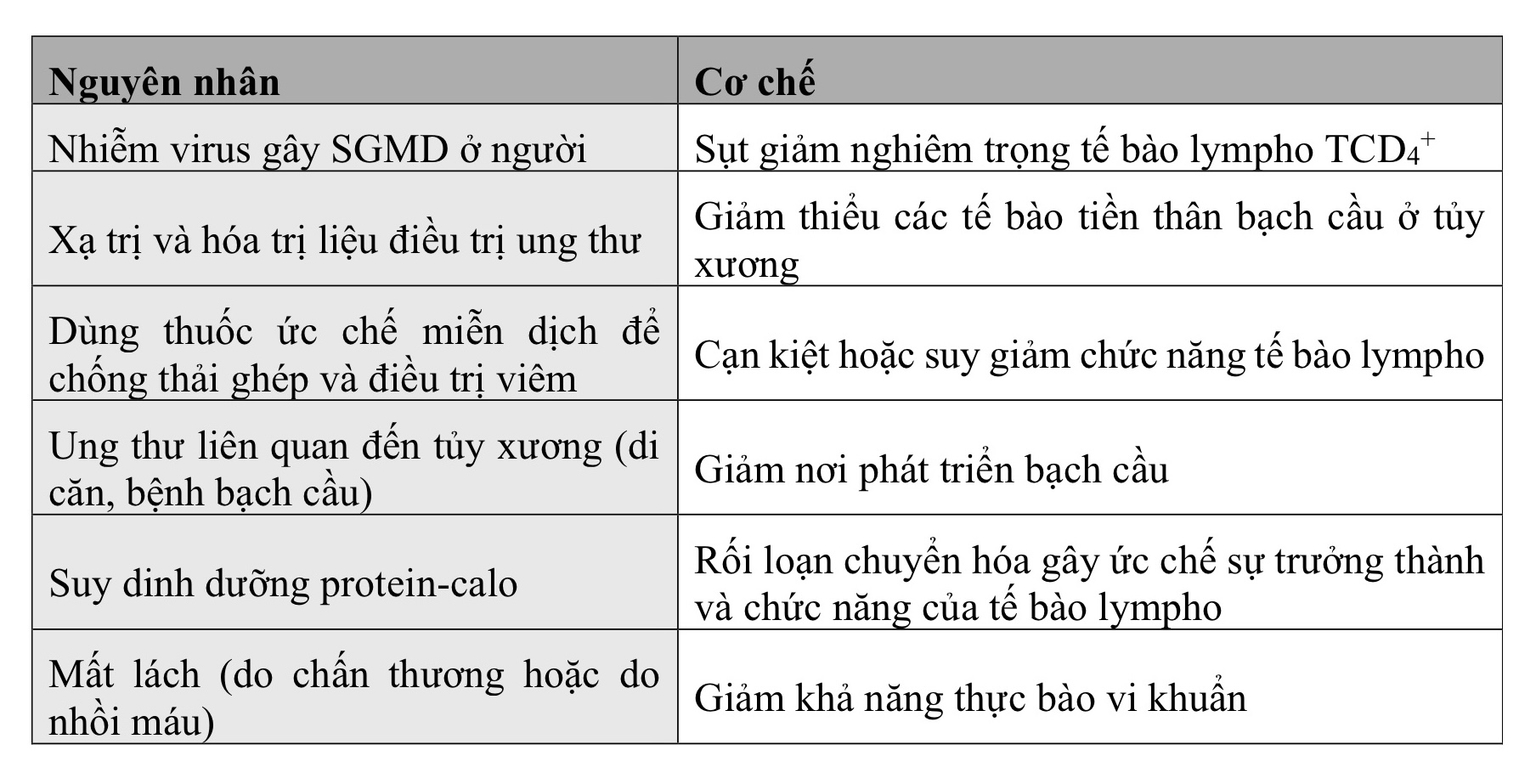 Nguyên nhân gây ra suy giảm MD thứ phát