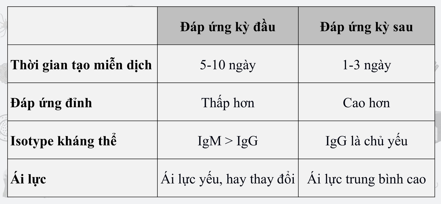 Bảng so sánh kỳ đầu & kỳ sau của đáp ứng miễn dịch dịch thể