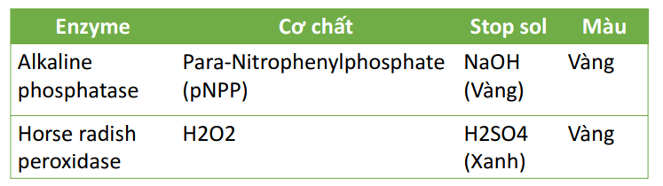 Các enzymes được sử dụng