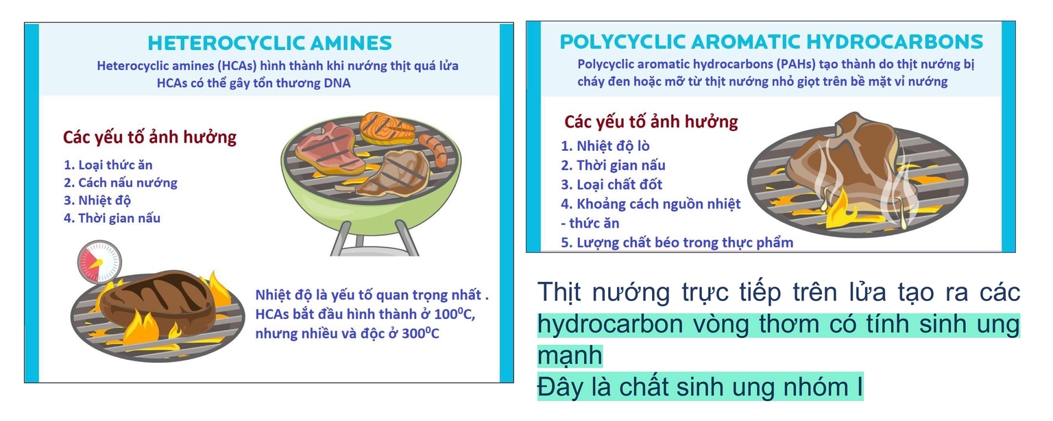 HCAs và PAHs là các chất sinh ung trong đồ nướng