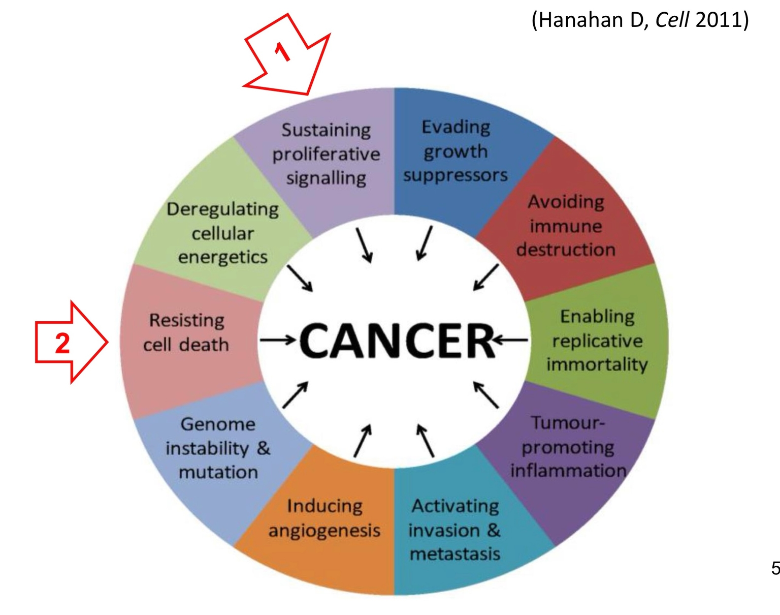 10 Đặc tính của UT